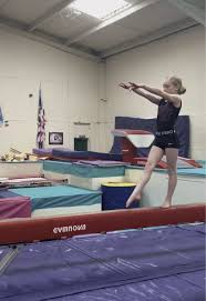 Image result for Gymmagic