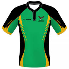 Image result for Effingham and Leatherhead Rfc