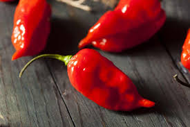 Afbeeldingsresultaat voor naga jolokia hot pepper