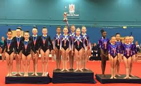 Image result for Swallows Of Helston Gymnastics Club