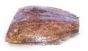 Image result for Reinhardtius hippoglossoides