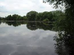 Image result for Orpington District Angling Association