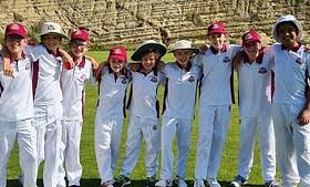 Image result for Elthorne Cricket Club