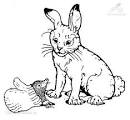 1001 AUSMALBILDER : Tiere  Kaninchen  Ausmalbild Kaninchen