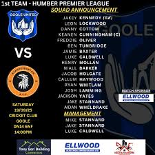 Image result for Goole Town Cricket Club