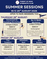 Image result for Forest Of Dean Gymnastics Club