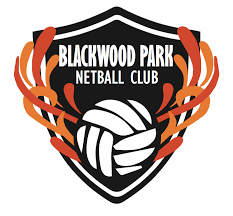 Image result for Verwood Town Netball Club