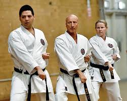 Image result for Haslemere Karate Club
