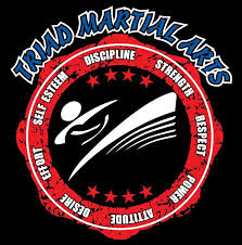 Image result for Martial Art Centre of Excellence