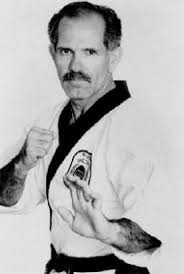 Image result for Alness Tang Soo Do