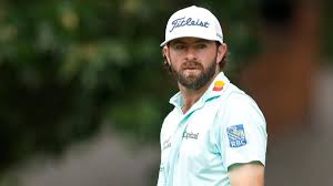 Image result for Wandham Cricket Club