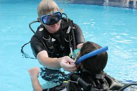Image result for Wyndley Seals Snorkelling Club