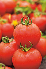 Bildergebnis für tomaten