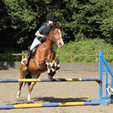 Image result for Weybridge Equestrian Centre