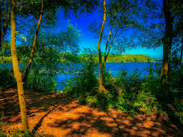 Image result for Aldenham Sailing Club