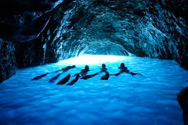 Image result for Notanx Freedive Club