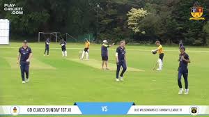 Image result for Old Wilsonians Cricket Club