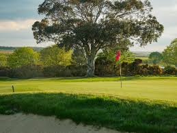 Image result for Southwold Golf Club