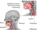 Digestive System Information