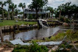 Attēlu rezultāti vaicājumam “Diarsia florida”