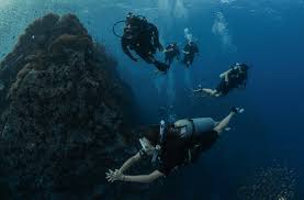 Image result for Scuba Fun