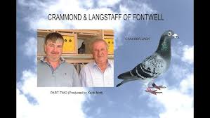 Image result for Abbeyton & Broomfield Racing Pigeons