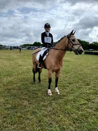 Image result for Bookham Riding Club