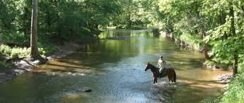 Image result for The Riding Centre