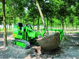 Image result for holmac tehron