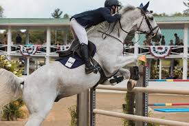 Image result for Fisher Equestrian