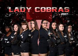 Image result for Cheltenham Cobras Volleyball Club