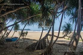 Image result for patnem beach