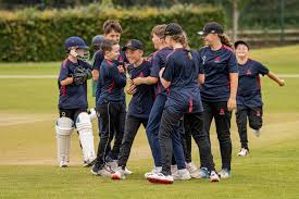Image result for Hatherleigh Cricket Club
