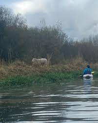 Image result for University Of Hull Canoe Club