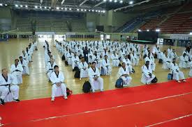 Image result for Han Wong Tae Kwon Do Academy