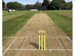 Image result for Malvern Cricket Club
