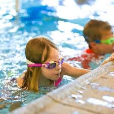 Image result for Dolphins Sheltered & Disabled Swim Club
