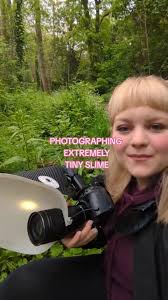 Attēlu rezultāti vaicājumam “Stemonitopsis typhina young”