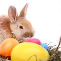 HowStuffWorks "How EASTER Works"