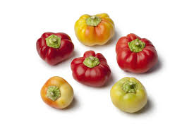 Afbeeldingsresultaat voor hungarian sweet white sweet pepper