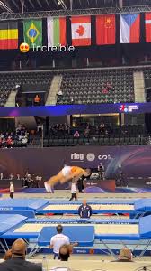 Image result for Kestrel Gymnastic Group