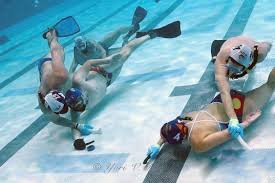 Image result for TAROT Octopush Club