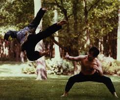 Image result for Sulkido