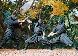 Image result for Hertfordshire Iga Ryu Ninjutsu