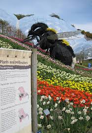 Image result for example