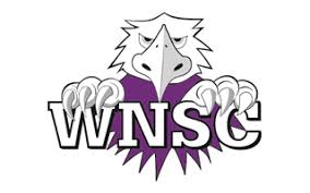 Image result for Downham & District Swimming Club