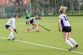 Image result for Tewkesbury and Cheltenham Underwater Hockey Club