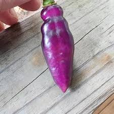 Afbeeldingsresultaat voor biker billy jalapeno hot pepper