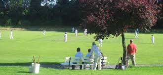 Image result for Buckie Cricket Club