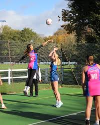 Image result for Cobham Netball Club